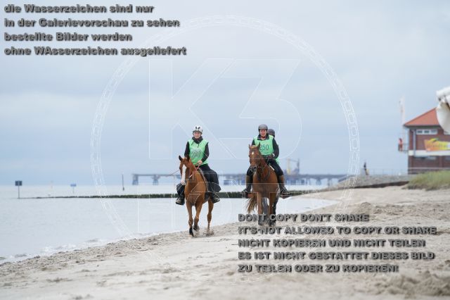s_K3F04866.JPG